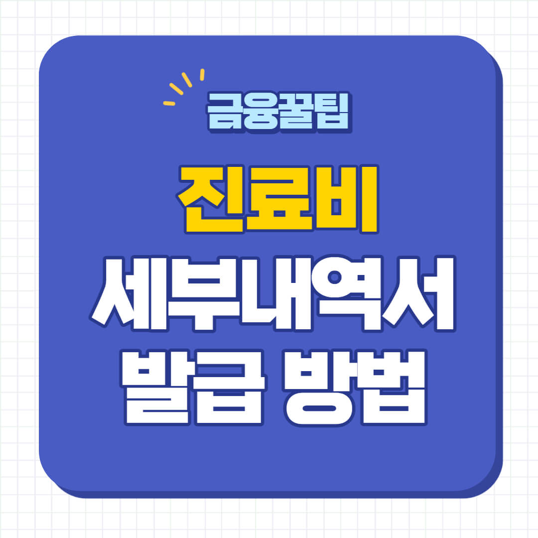 진료비 세부내역서 발급