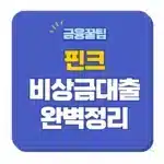핀크 비상금대출 신청