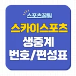 스카이스포츠 중계