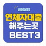 연체자대출 해주는곳