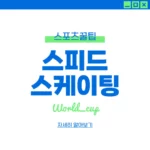 스피드 스케이팅 월드컵 중계