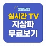 실시간 TV