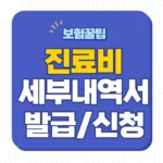 진료비 세부내역서 발급 방법